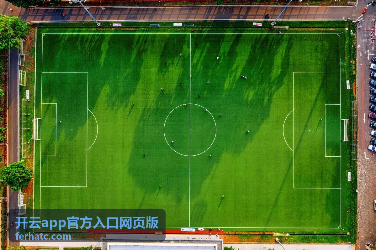 开云app官方入口网页版使用步骤流程示意封面