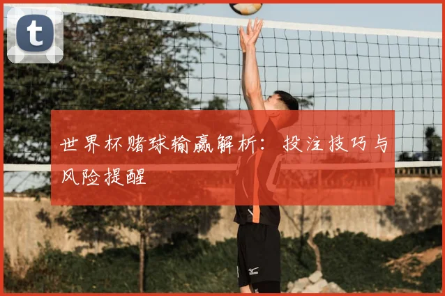 世界杯赌球输赢解析：投注技巧与风险提醒