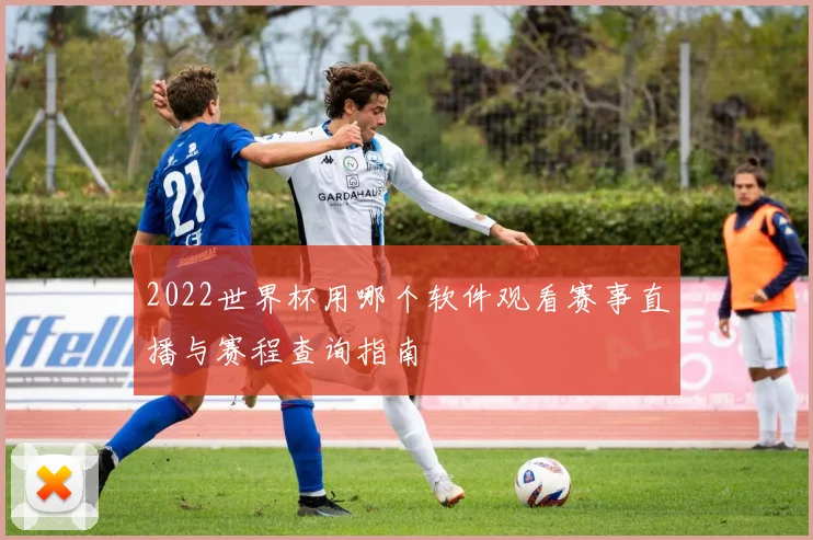 2022世界杯用哪个软件观看赛事直播与赛程查询指南